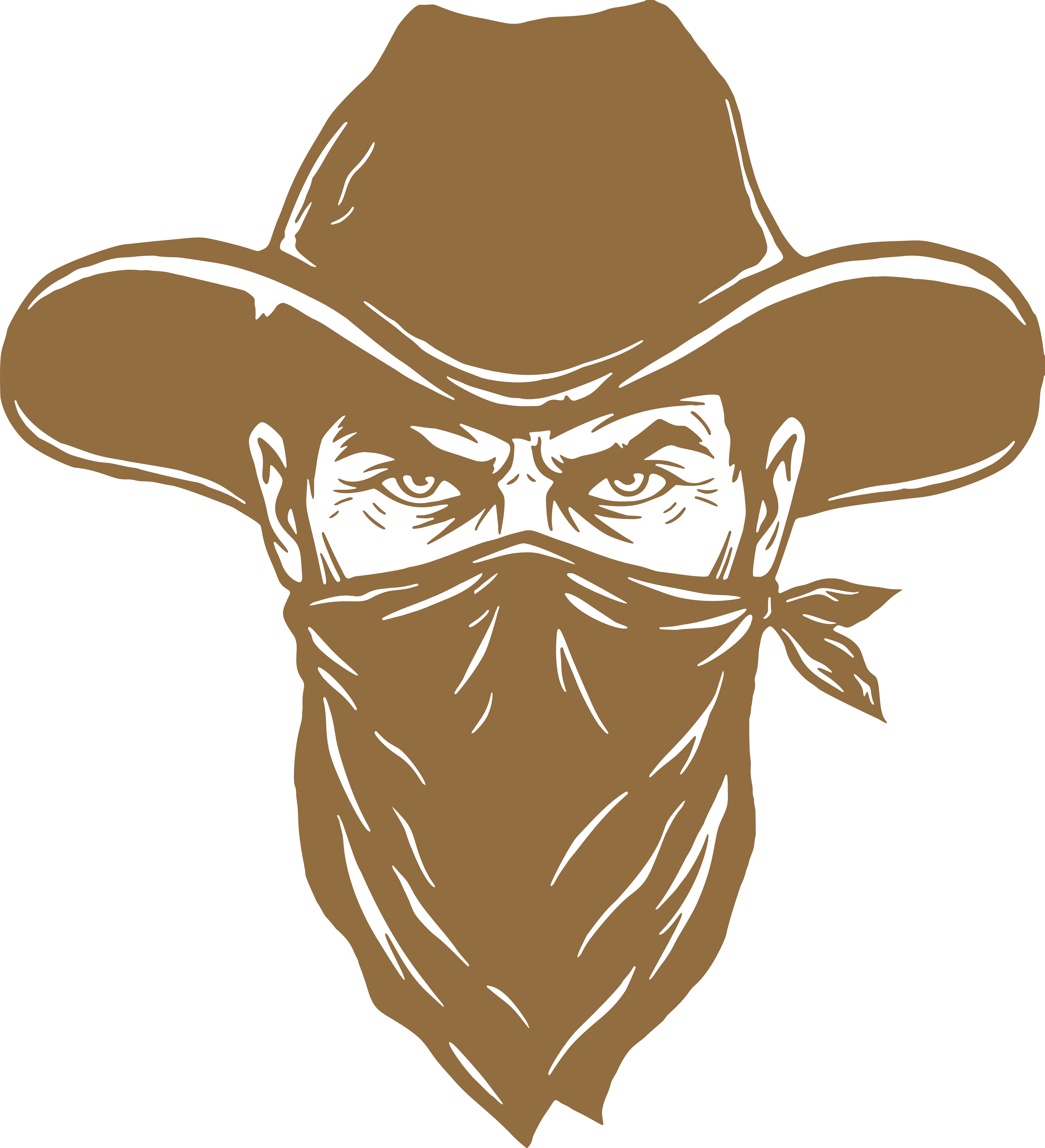 Black Bandit